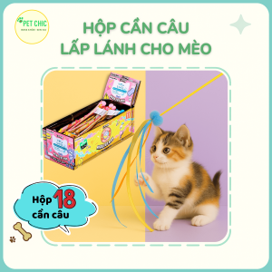 Hộp 18 Cần Câu Ruy Băng Lấp Lánh CattyMan